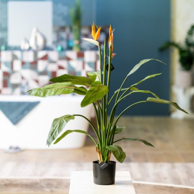 Homendeco Deko dekoartikel rahmen spiegel kunstpflanzen kunstpblumen pflanzen dekoausstellung kunstpflanzenausstellung vasen