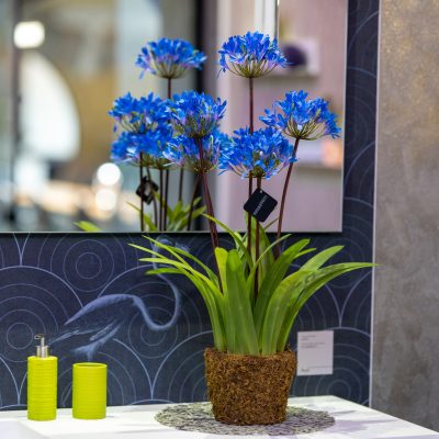 Homendeco Deko dekoartikel rahmen spiegel kunstpflanzen kunstpblumen pflanzen dekoausstellung kunstpflanzenausstellung vasen